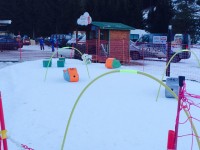 TUTTI GLI AMICI DEL TEZ VILLAGE