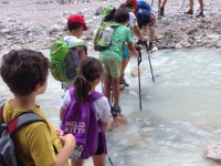 Tez summer Camps verso nuove scoperte!