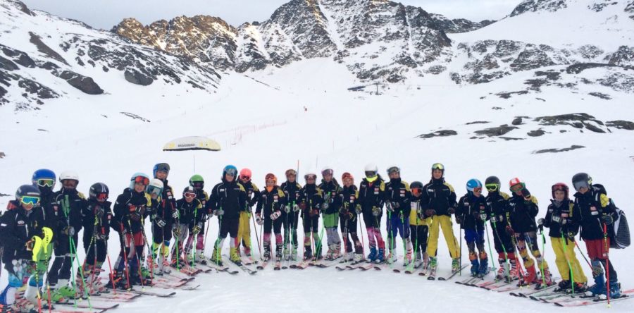 Baby Cuccioli a Solda per preparare gli I.S.G.